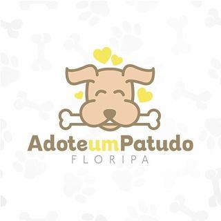 adoteumpatudofloripa